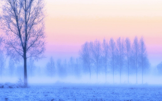 1725907 (a): :1920x1200